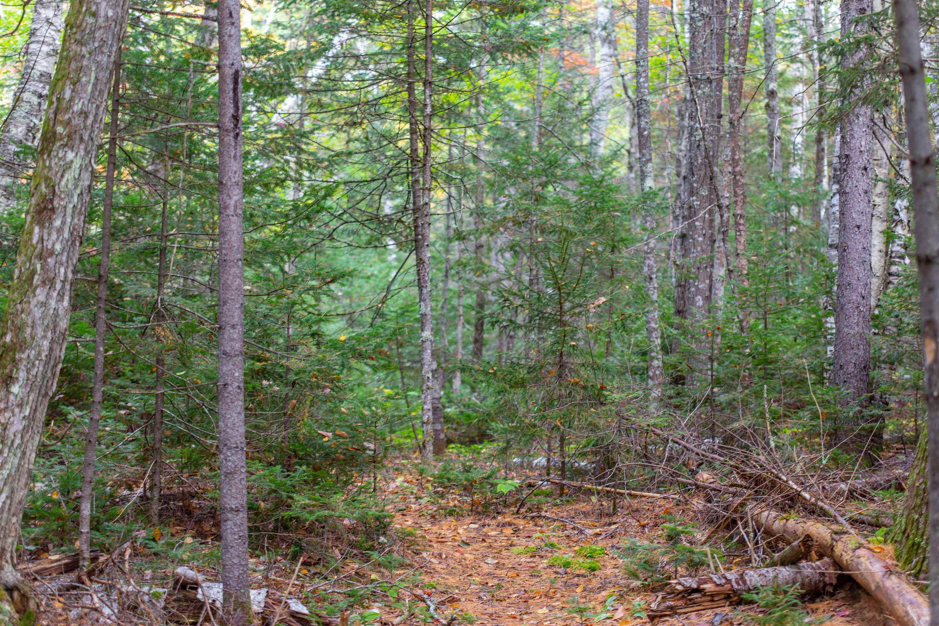 141 Locke Falls Road Tamworth, NH 03897 - Photo 5 of 21 Gallery Image 5