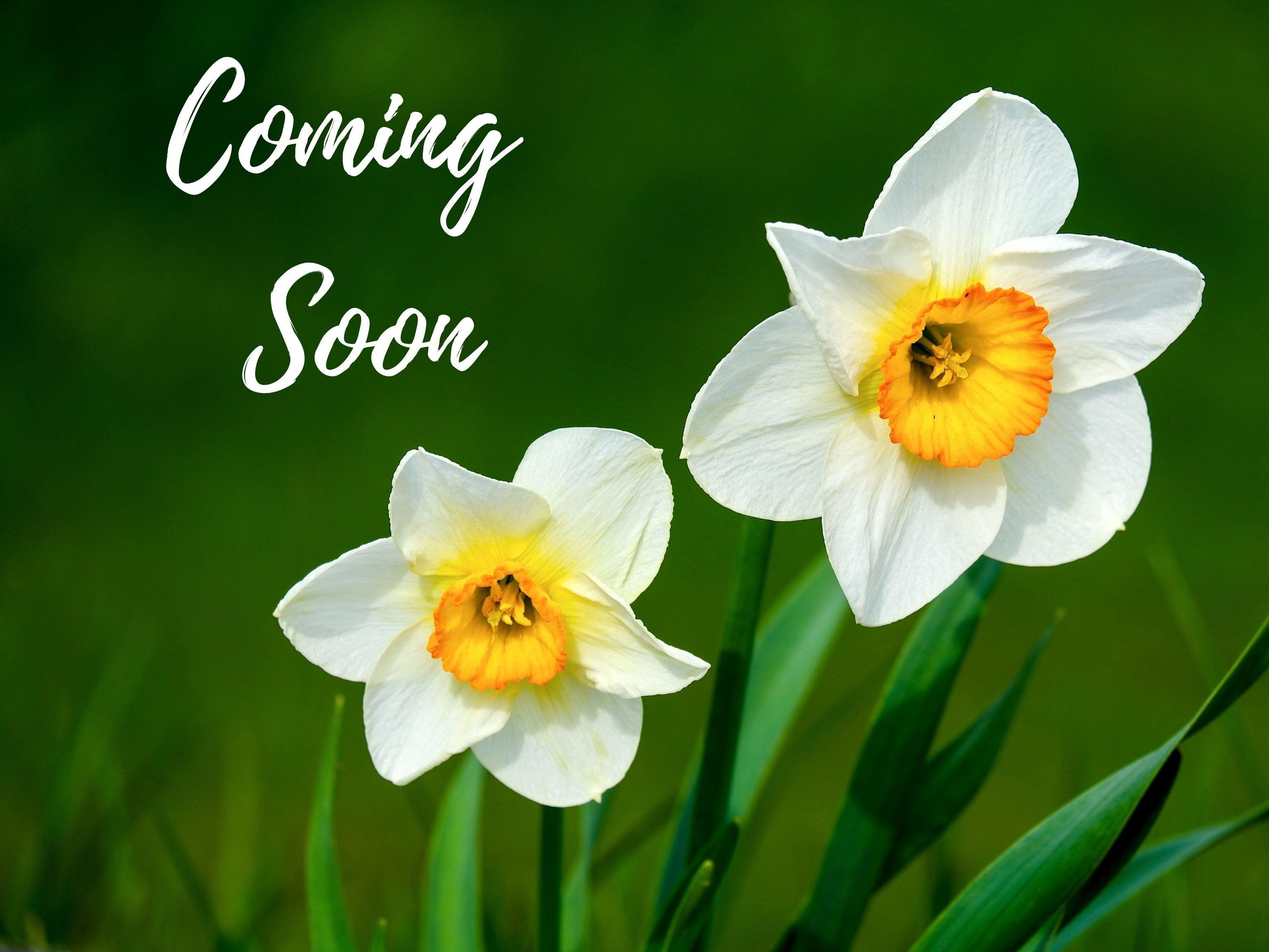 216 Statz Lane Dane, WI 53529 - Photo 1 of 2