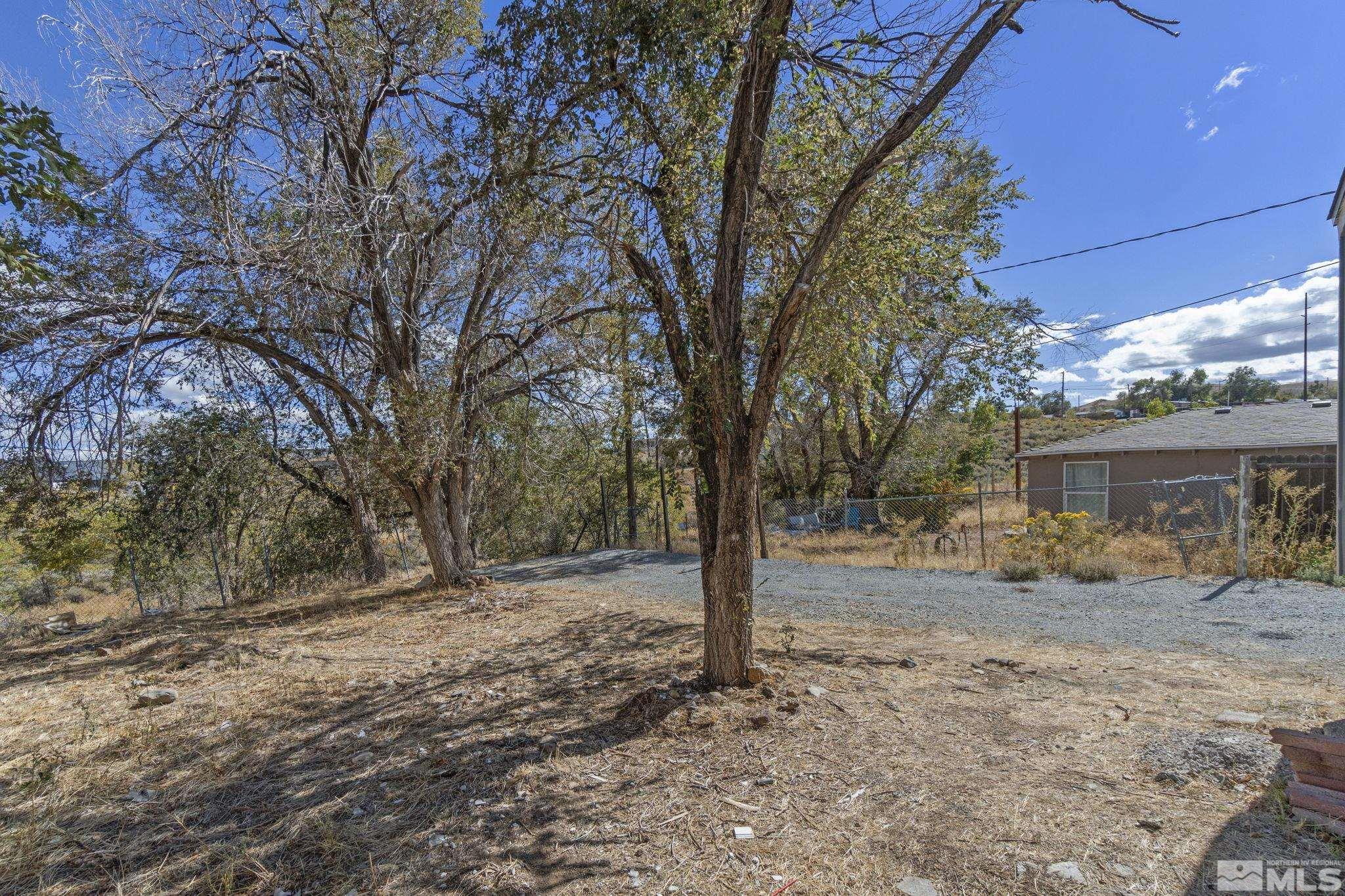 157 Walner Street Reno, NV 89506 - Photo 17 of 21 a view of a yard with a tree