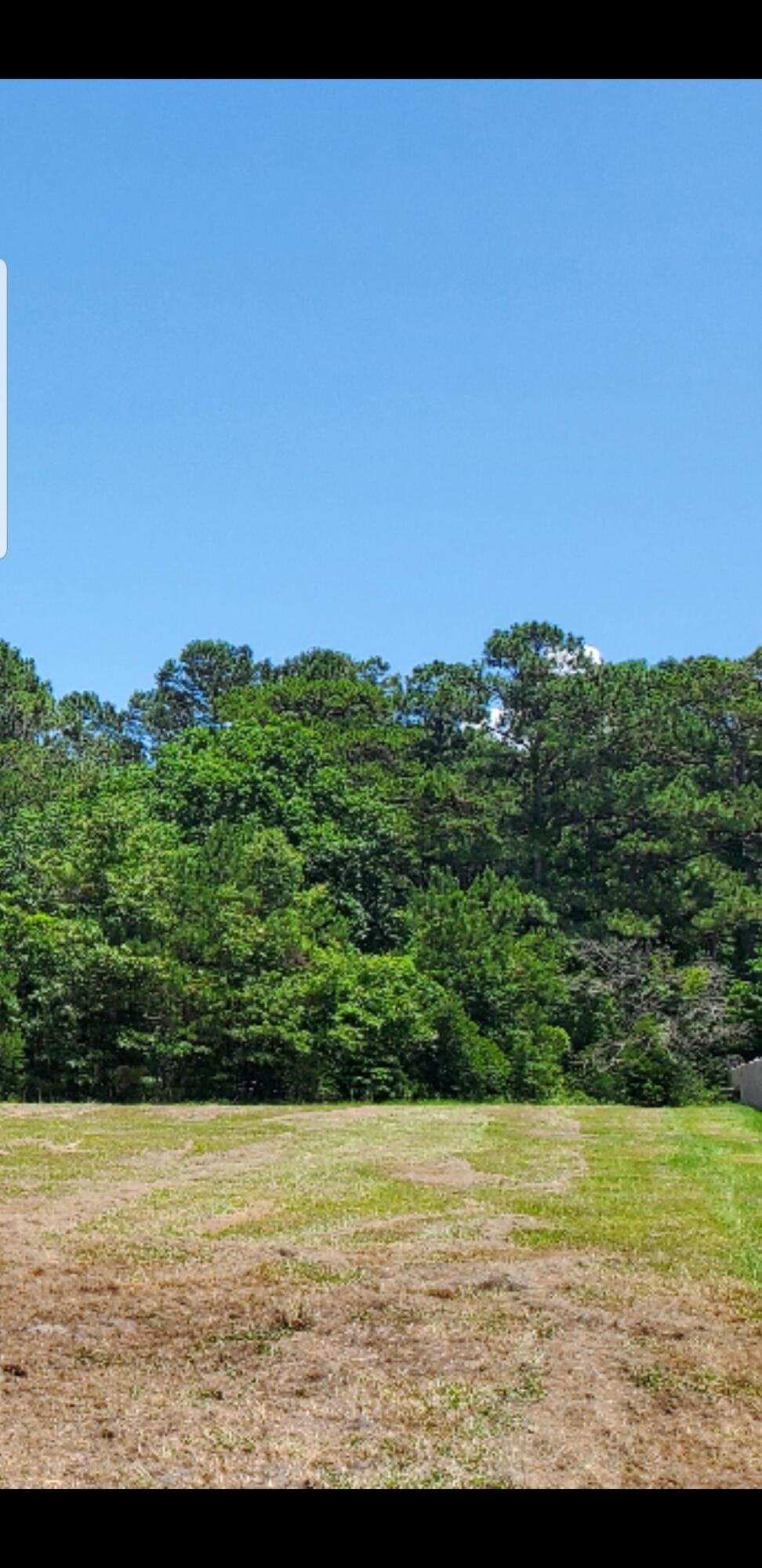 1984 Ranger Drive Cross, SC 29436 - Photo 1 of 1 View from Ranger Drive