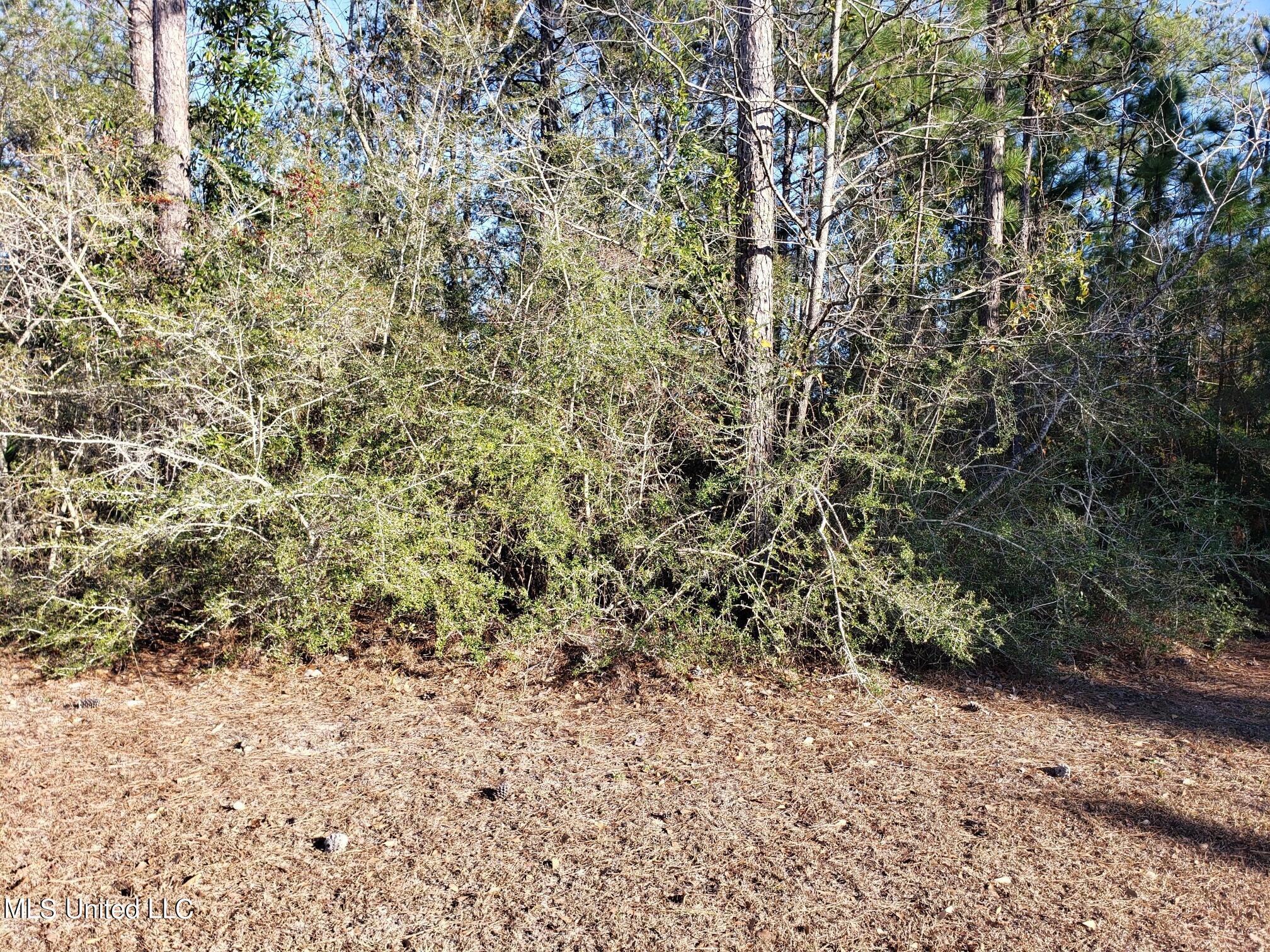 0 Saw Grass Point Gautier, MS 39553 - Photo 1 of 3 75250114_20240131_154801_11081306_resize