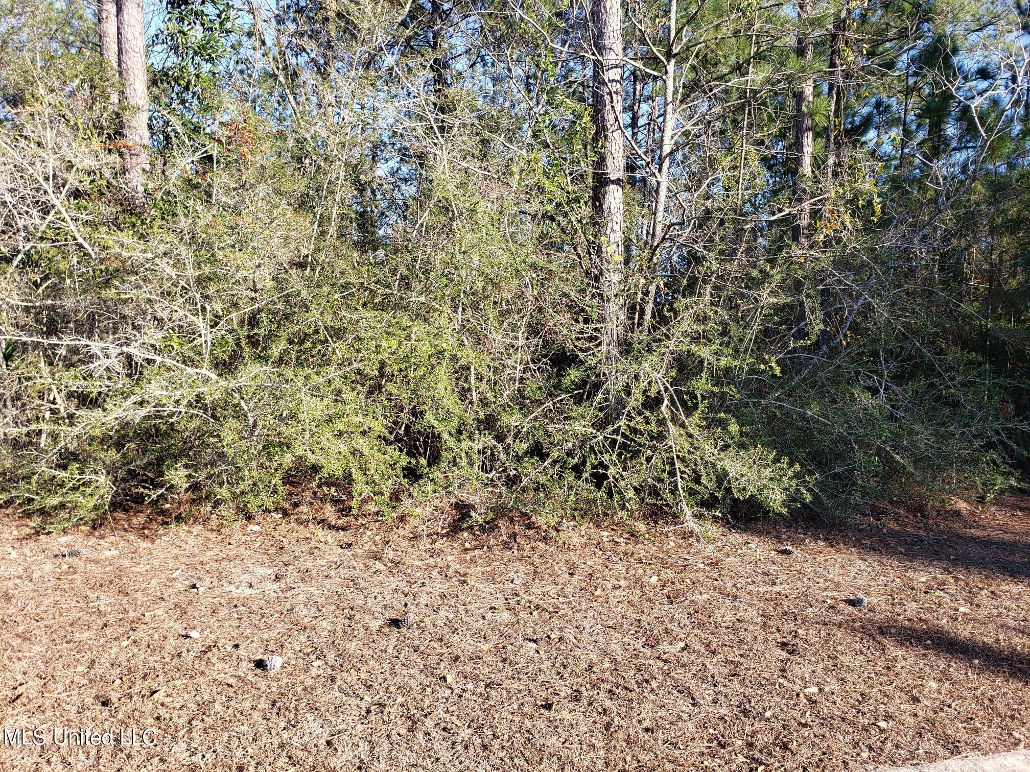 0 Saw Grass Point Gautier, MS 39553 - Photo 2 of 3 76173635_20240131_154803_11142714_resize