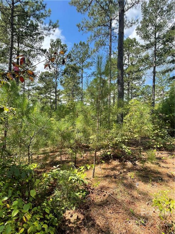 G2 Dry Ponds Road Granite Falls, NC 28630 - Photo 3 of 3 Gallery Image 3
