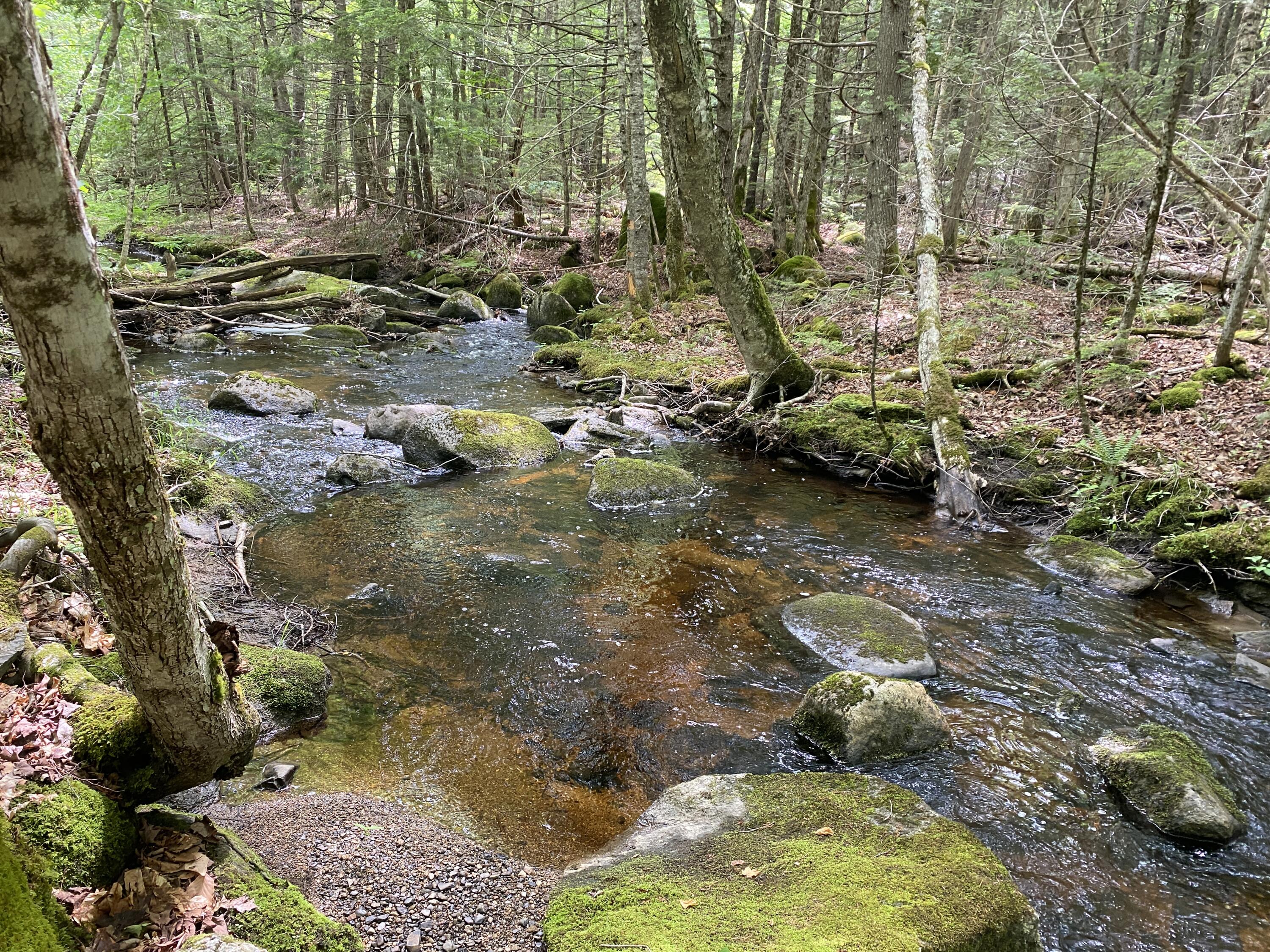 783 Half Township Road Lincoln, ME 04457 - Photo 24 of 24 IMG_24