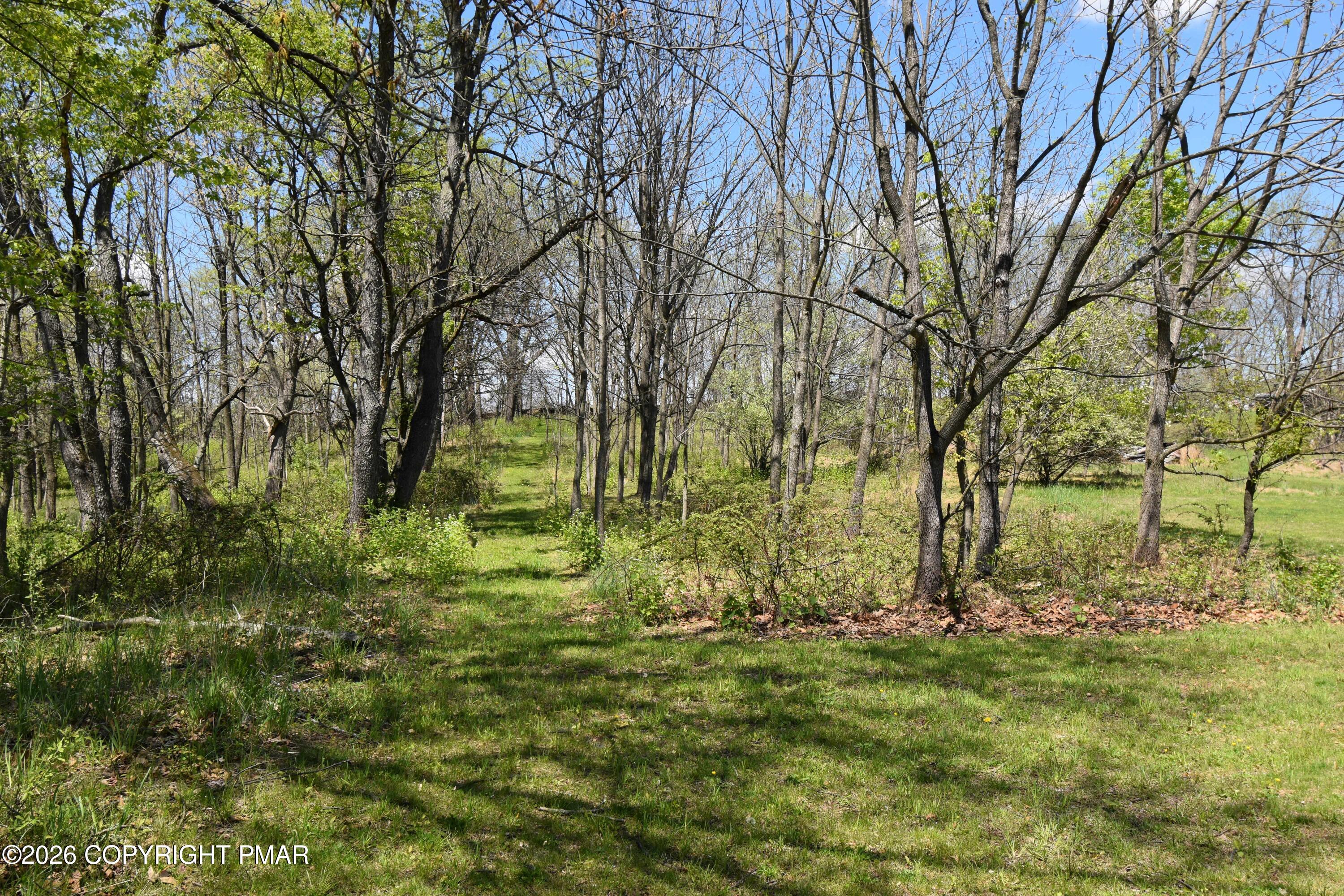 160 Quiet Valley Road Mount Bethel, PA 18343 - Photo 36 of 44 a view of backyard
