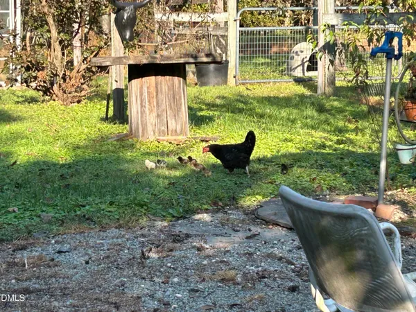 a view of a yard with plants