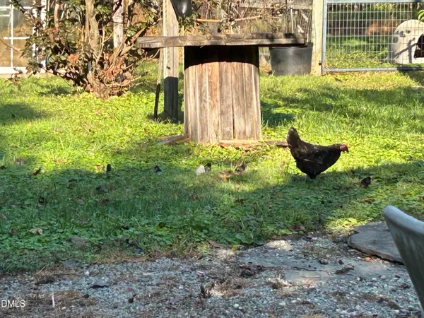 a view of a garden with large trees