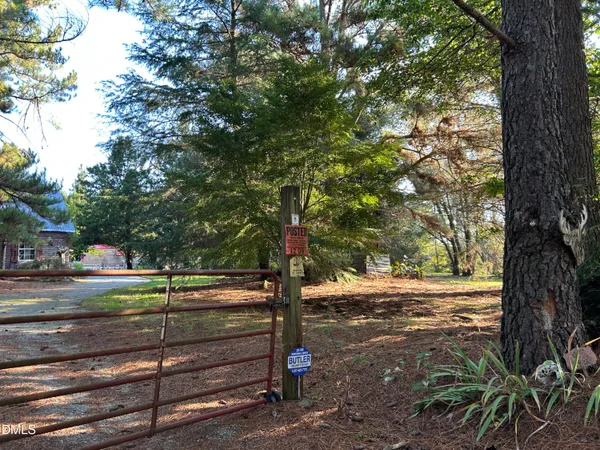 a view of a road with a tree