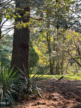 a view of a yard with plants and trees