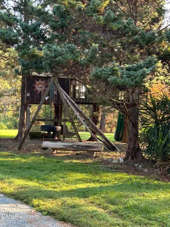 a view of a park with large trees