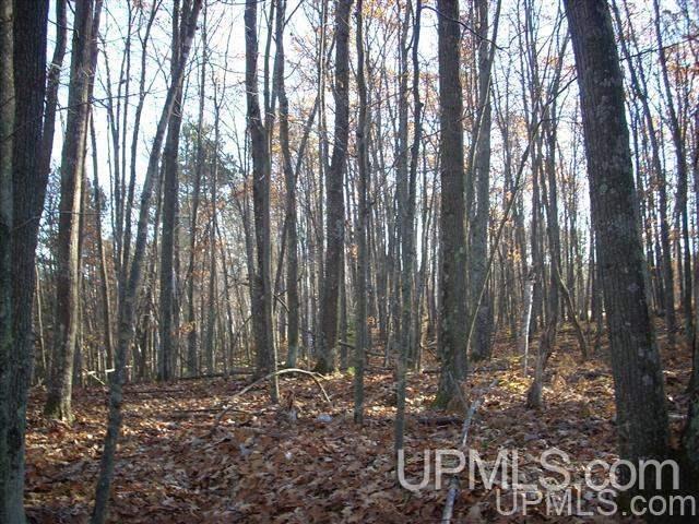 6325 Town Rd L Florence, WI 54121 - Photo 10 of 11