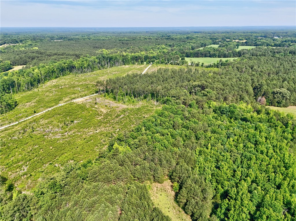 0 Horse Farm Road Iva, SC 29655 - Photo 20 of 32 Vast stretches of mature timber and cleared acreage create a perfect natural canvas.