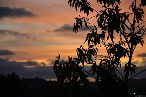 $1,769,000 | 305 Creekview Court, San Marcos, CA 92078