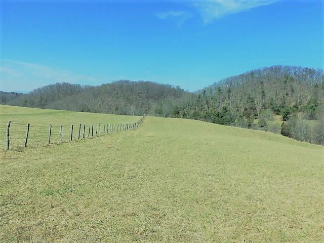 Tbd Mill Creek Road Glade Spring, VA 24340 - Photo 17 of 20 Gallery Image 17