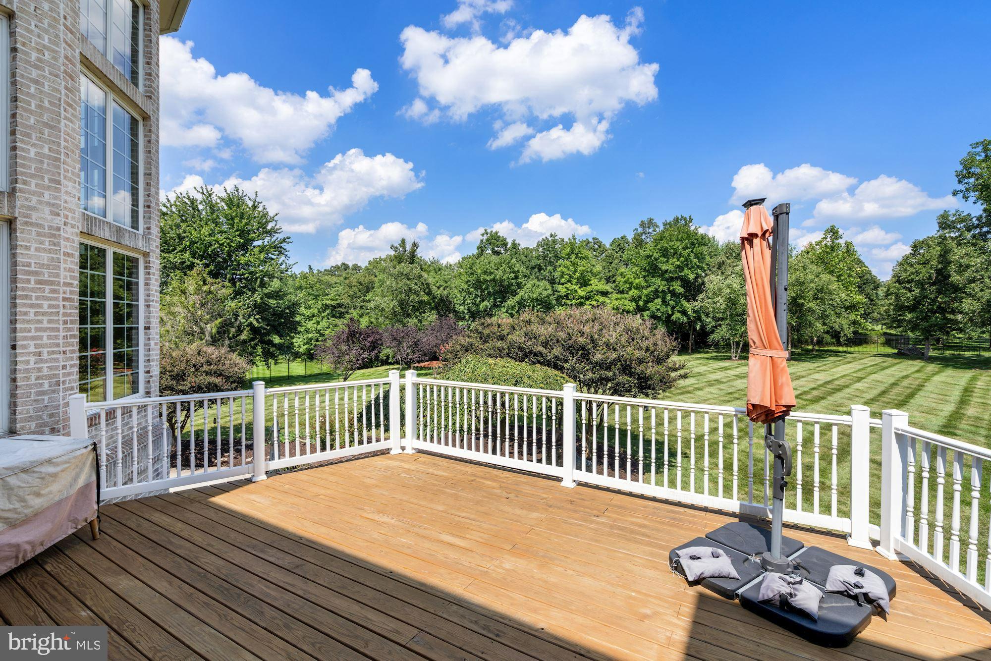 12705 Greenbriar Road Potomac, MD 20854 - Photo 90 of 94 Ready for summer gatherings
