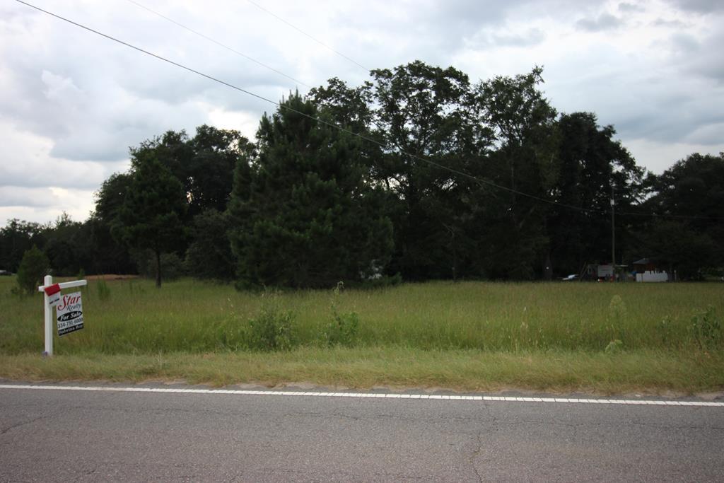 7-acres Cottonwood Road Dothan, AL 36301 - Photo 1 of 5