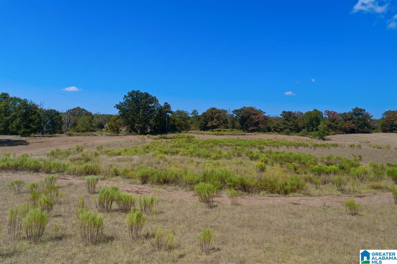 Jackson Farm Road, Unit B Wilsonville, AL 35186 - Photo 9 of 12