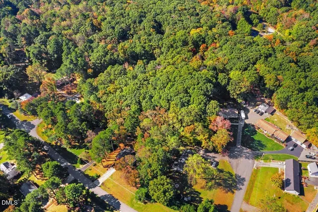 a view of a garden with plants and large trees