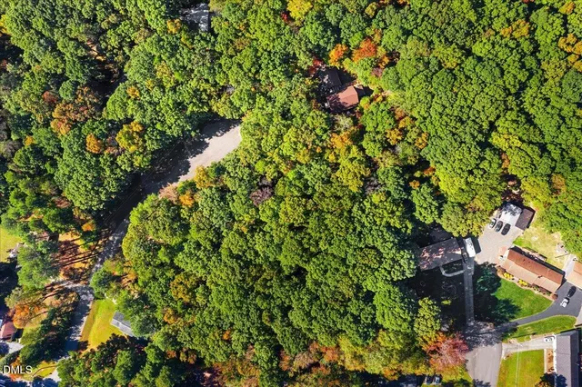 a view of a yard with a tree