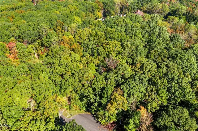 a view of a garden with a tree