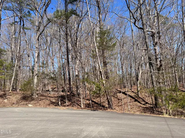 a view of a lush green forest