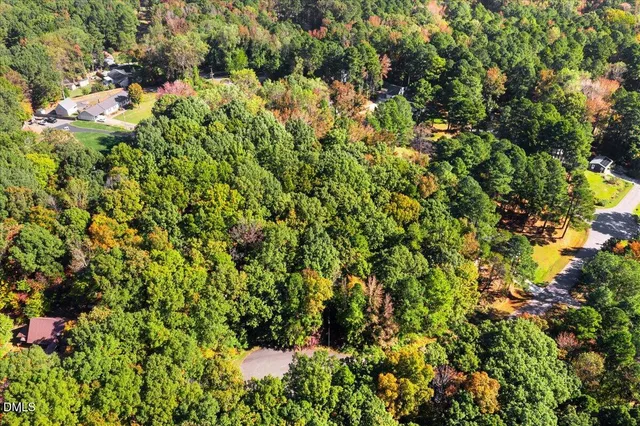 a view of a lush green forest