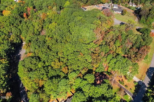 a view of a lush green field