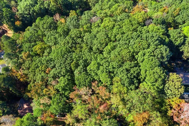a view of a plants and yard