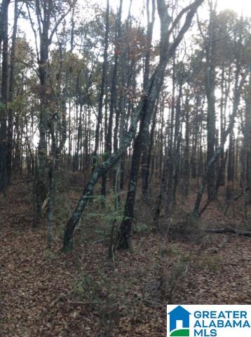 0 Lister Ferry Road, Unit 1 Gadsden, AL 35907 - Photo 28 of 30