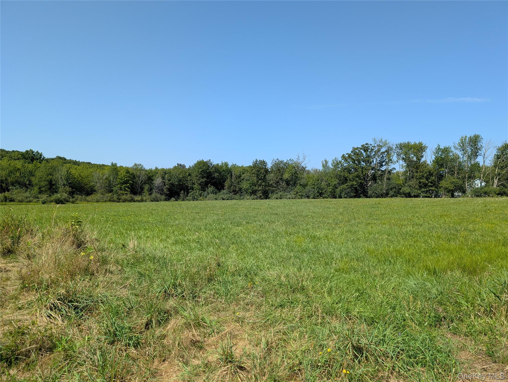 a view of a green field with wooden fence