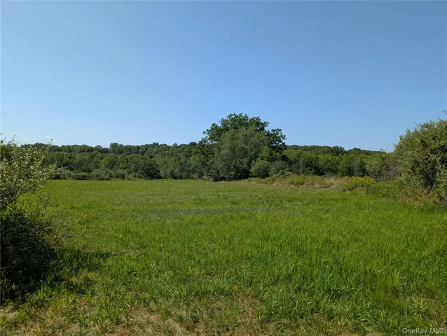 a view of a lush green outdoor space with a lake view and mountain view