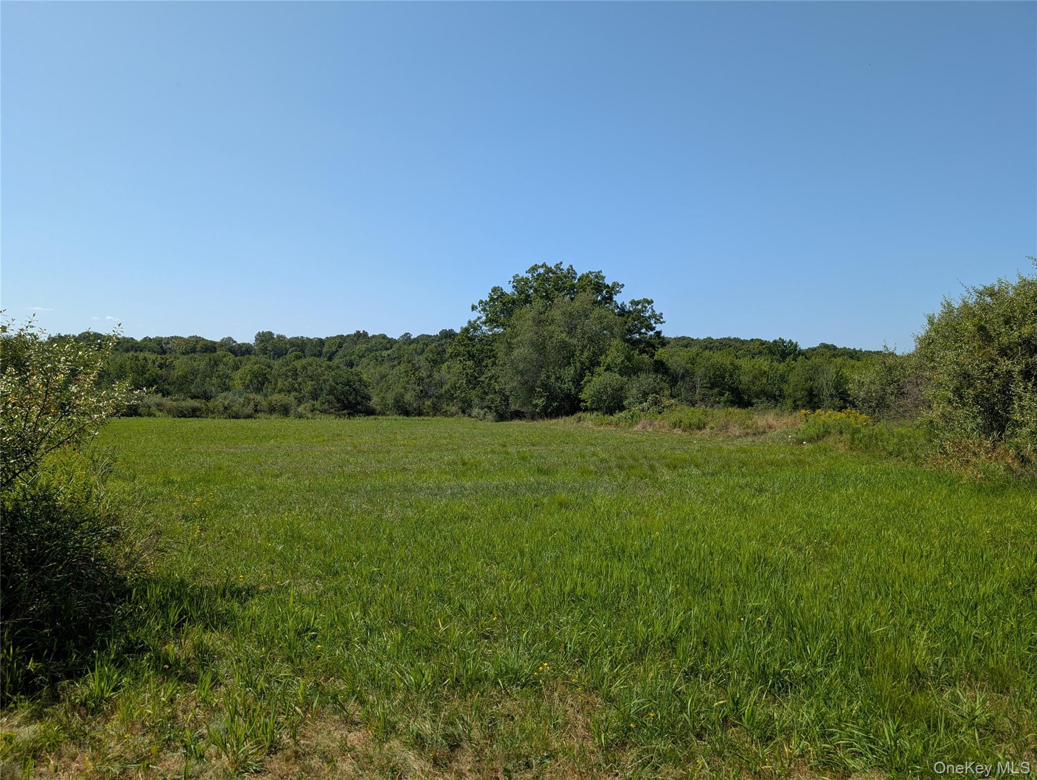 2024 Mt Hope Road Middletown, NY 10940 - Photo 2 of 5 a view of a lush green outdoor space with a lake view and mountain view