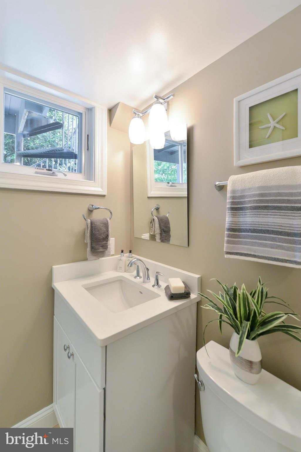 1823 S Street Northwest, Unit 3 Washington, DC 20009 - Photo 22 of 24 a bathroom with a sink a mirror and a potted plant