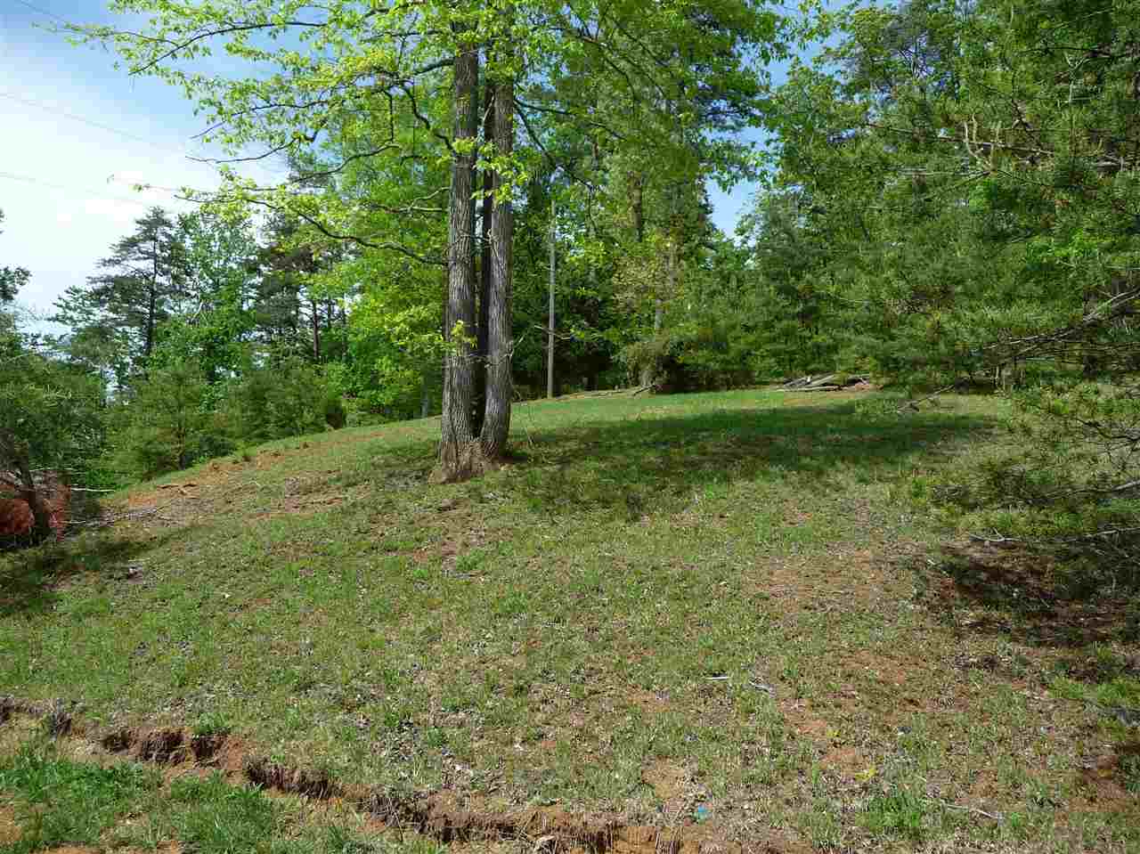 2858 Buffalo Creek Road Wayne, WV 25570 - Photo 2 of 12 Gallery Image 2