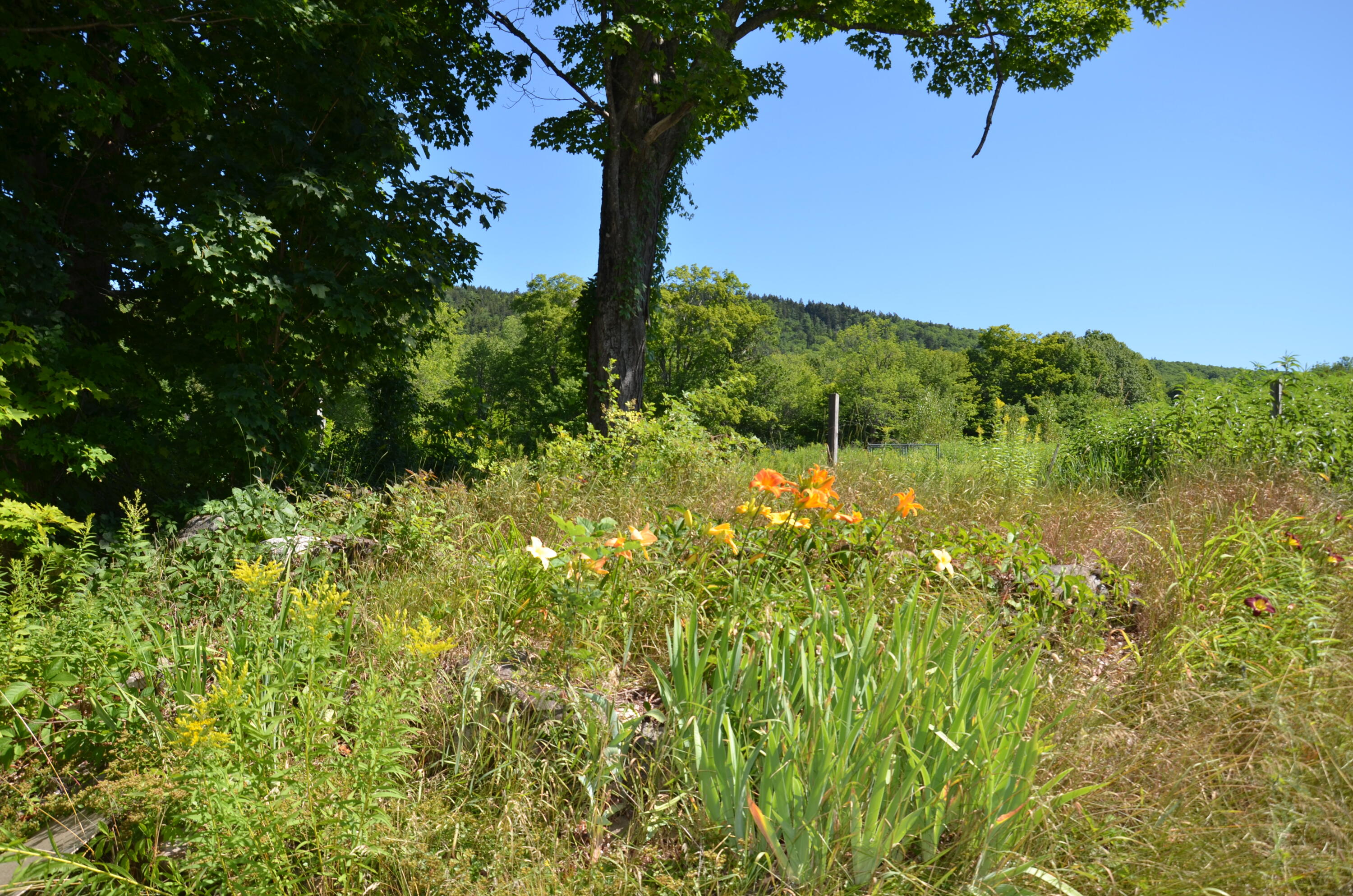 222 Streaked Mountain Road Paris, ME 04281 - Photo 10 of 77 DSC_8579