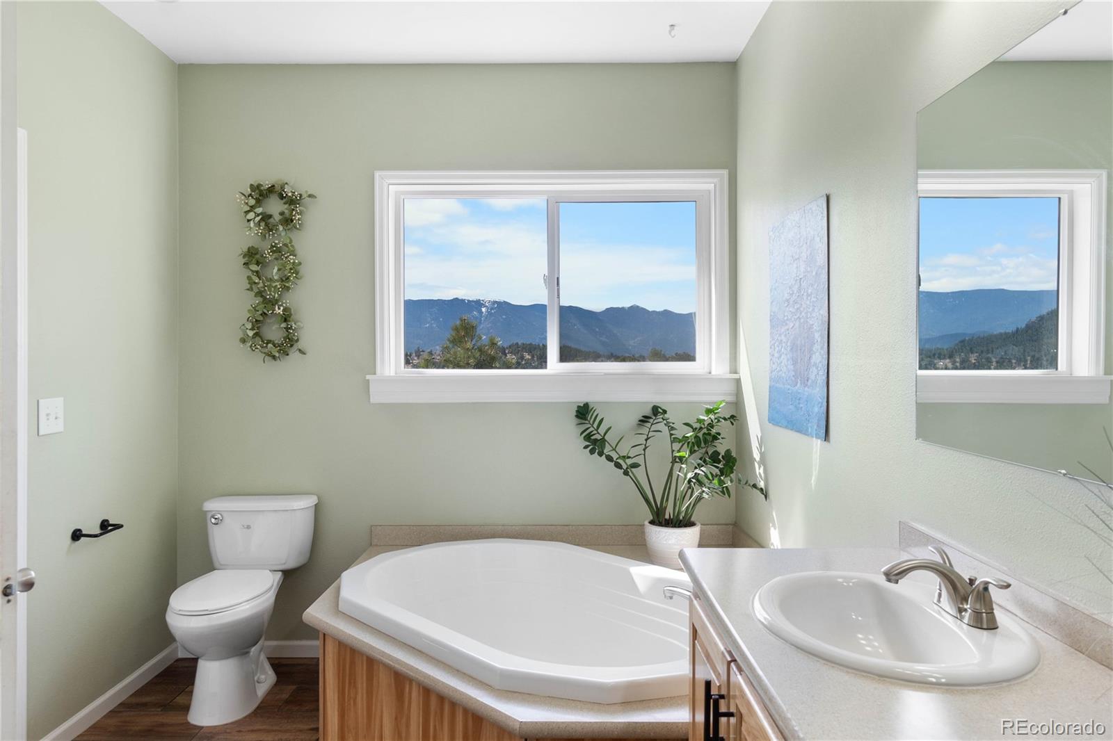 147 Overlook Drive Bailey, CO 80421 - Photo 18 of 43 a bathroom with a sink and a toilet