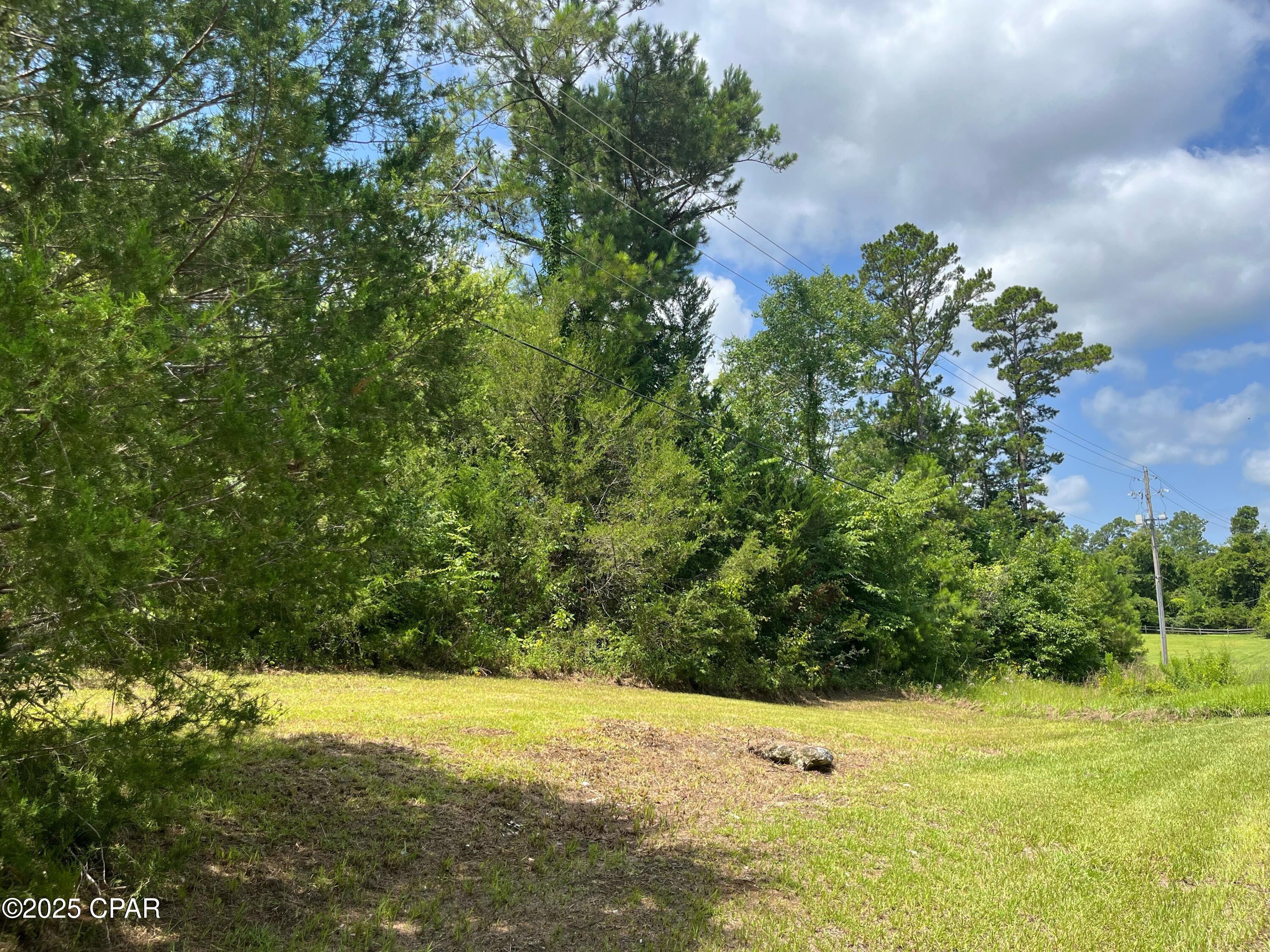 0 Meadowview Road Marianna, FL 32446 - Photo 3 of 4 Gallery Image 3