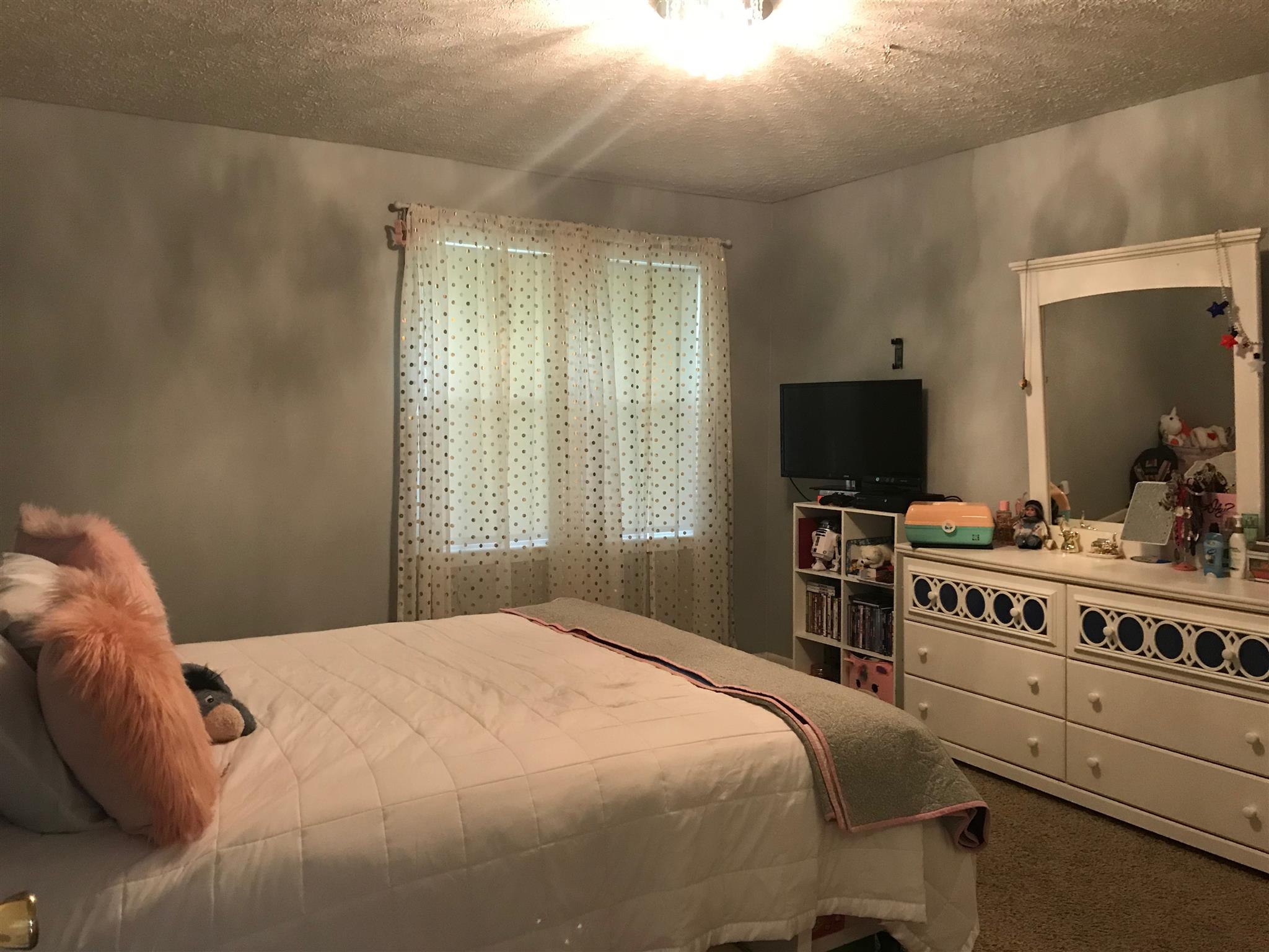 204 B Hall Road White Bluff, TN 37187 - Photo 13 of 19 Bedroom 2 with double windows