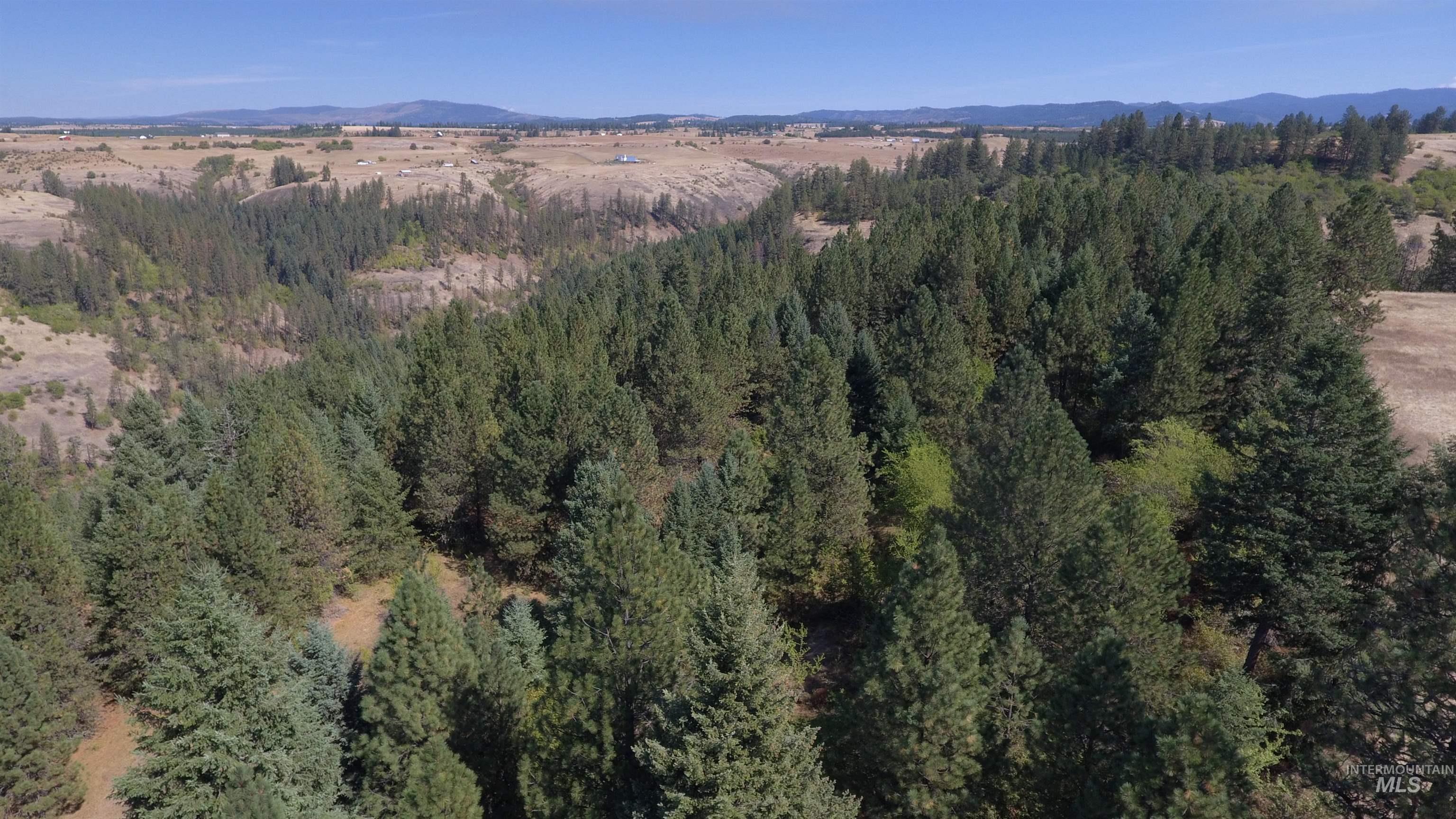 Tbd Dalton Acres Road Stites, ID 83552 - Photo 50 of 50 Gallery Image 50