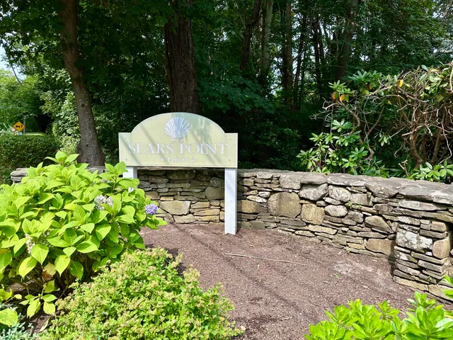 a view of a road with a trees
