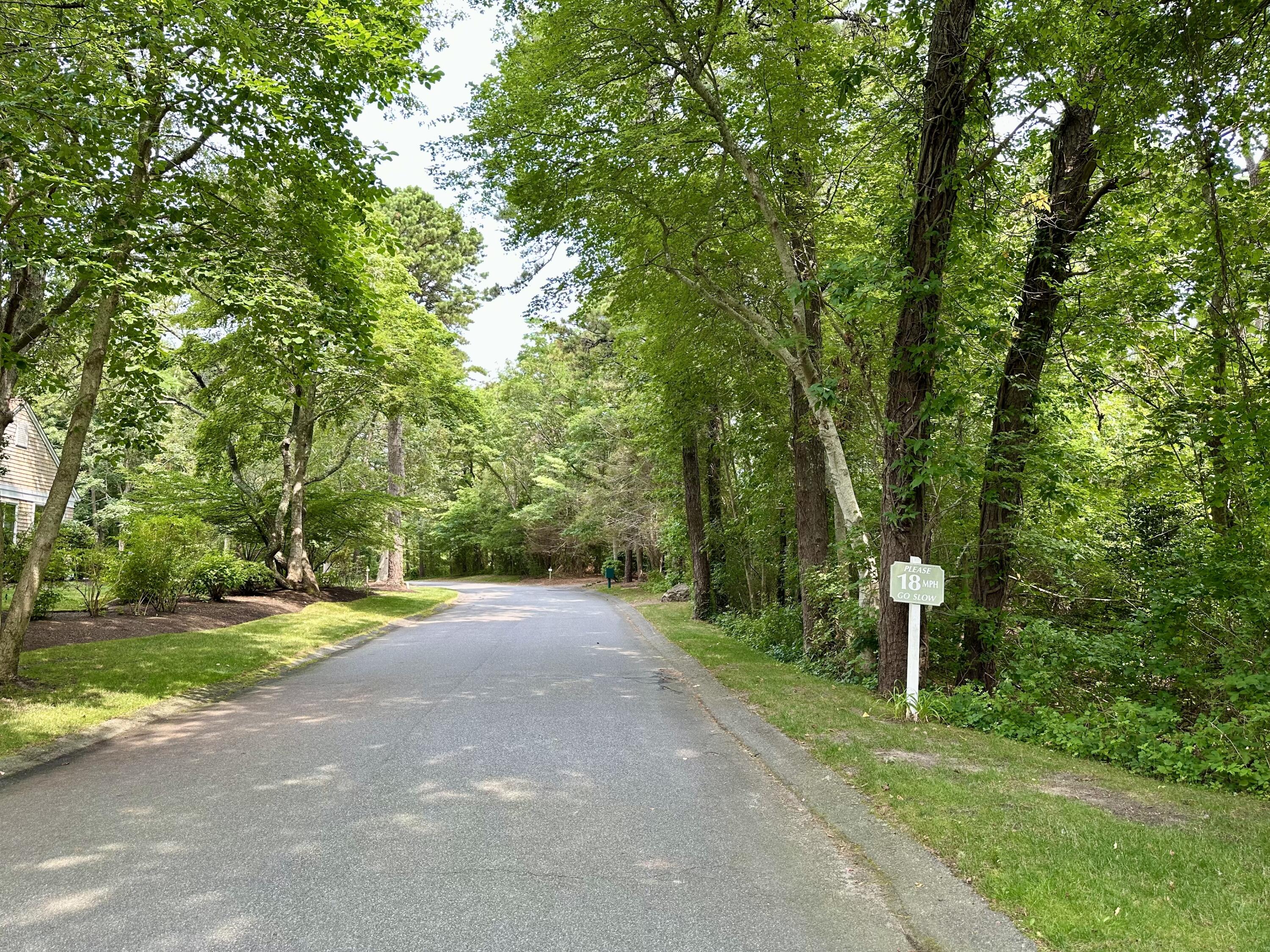11 Juniper Circle, Unit 11 Brewster, MA 02631 - Photo 34 of 52 a view of a road with a trees