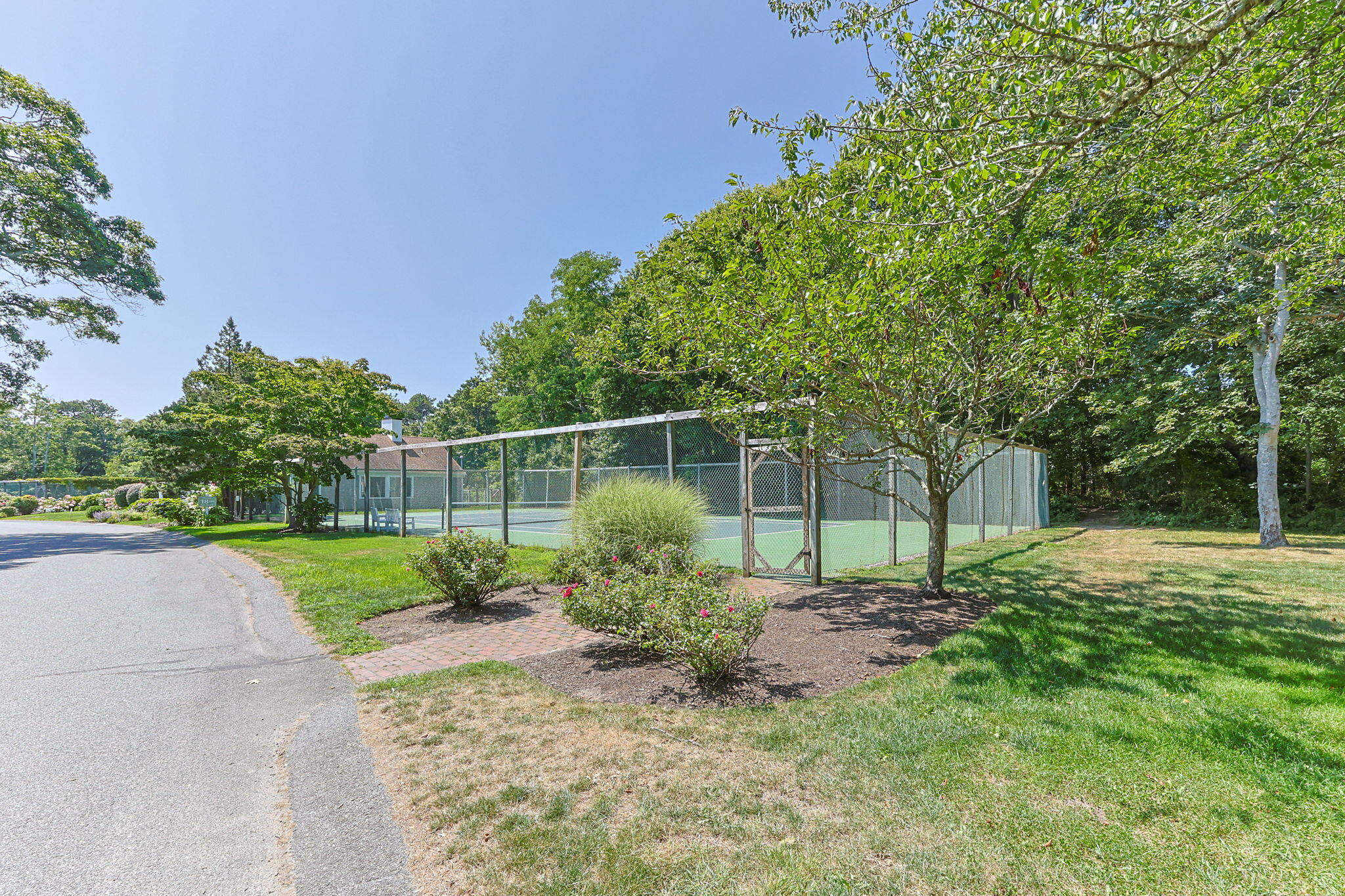 11 Juniper Circle, Unit 11 Brewster, MA 02631 - Photo 44 of 52 a backyard of a house with lots of green space