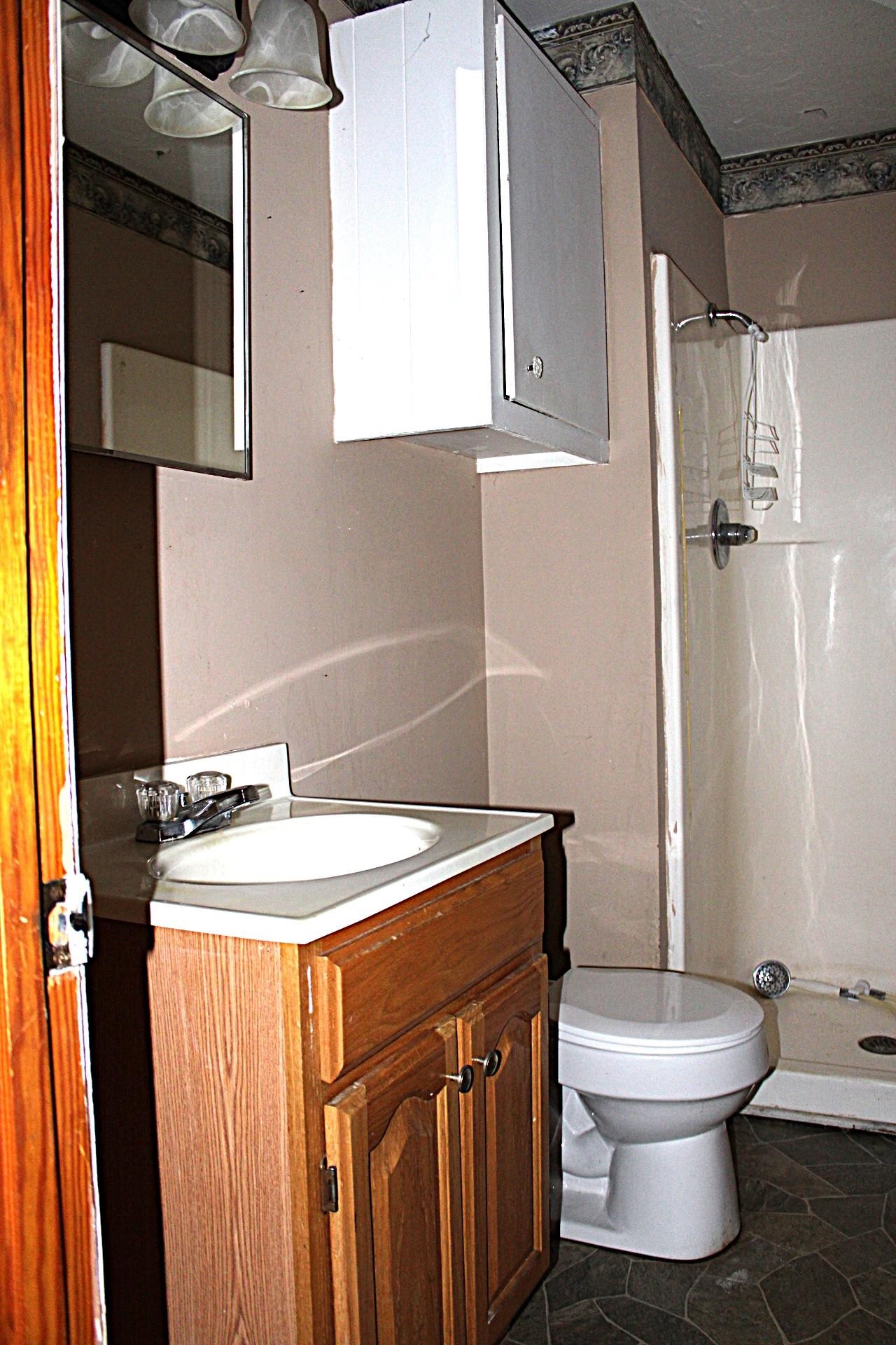 584 Chisholm Lake Road Ripley, TN 38063 - Photo 15 of 28 a bathroom with a sink a toilet and shower