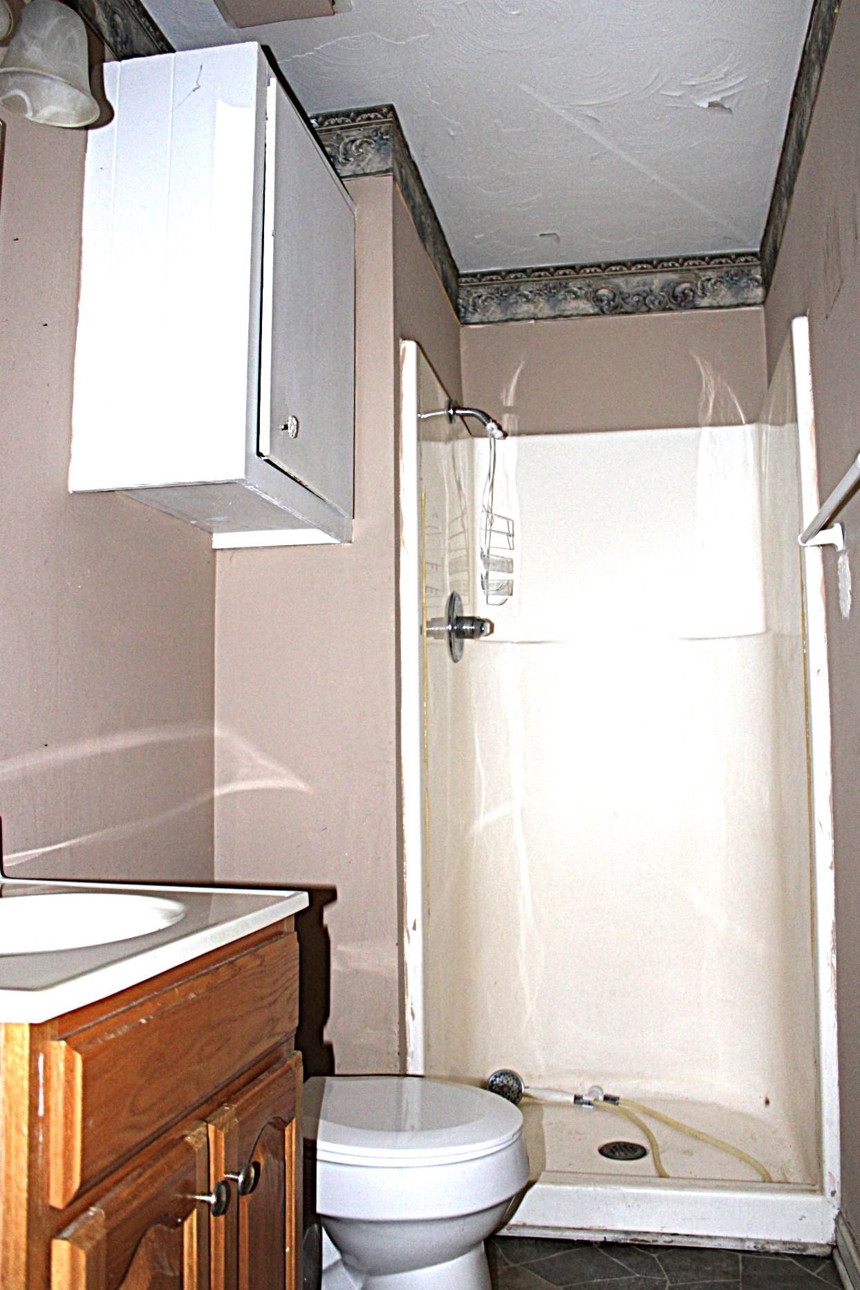 584 Chisholm Lake Road Ripley, TN 38063 - Photo 16 of 28 a bathroom with a sink a toilet and shower
