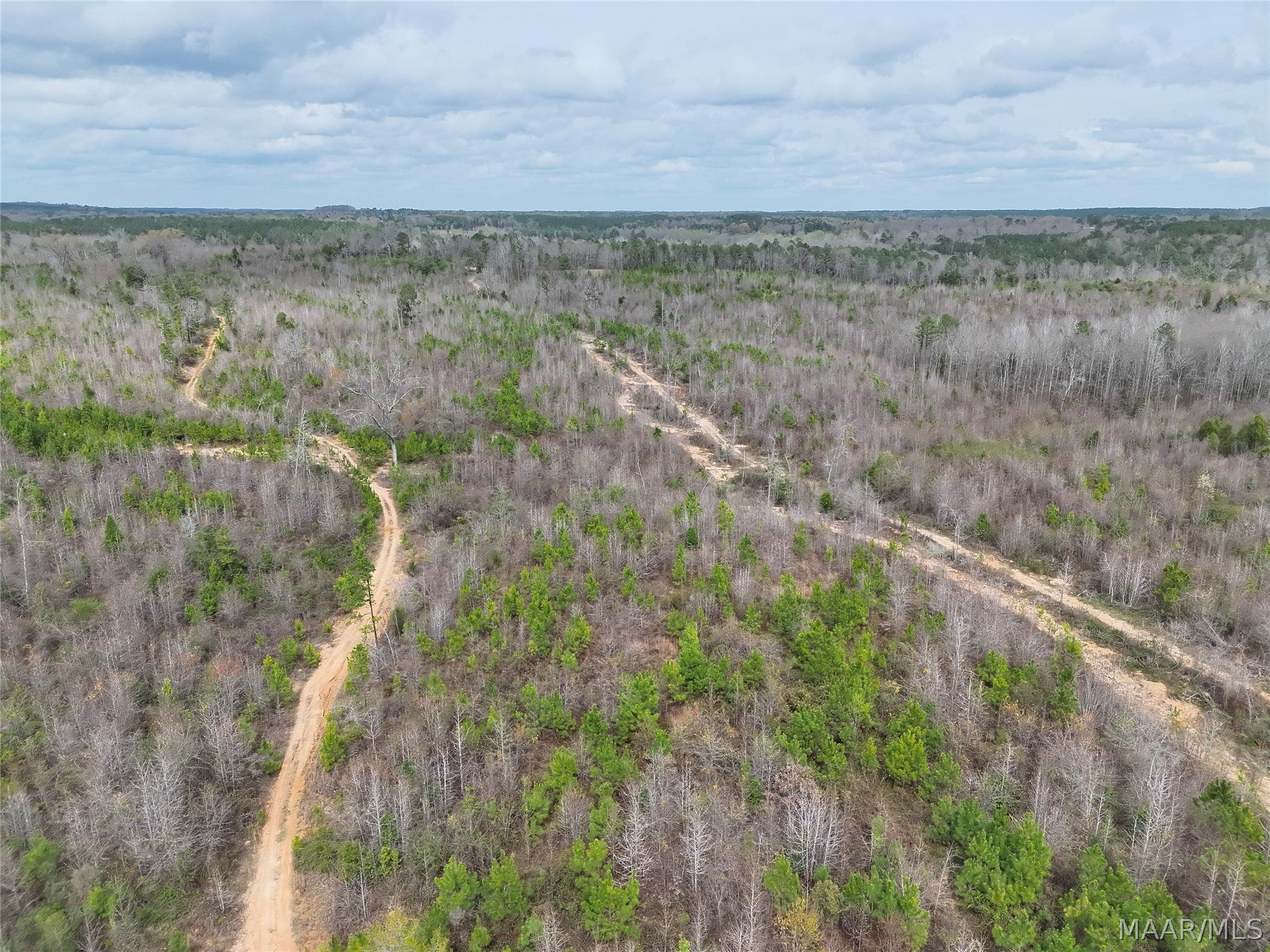 0 Brownin Road Ralph, AL 35480 - Photo 15 of 19 Gallery Image 15