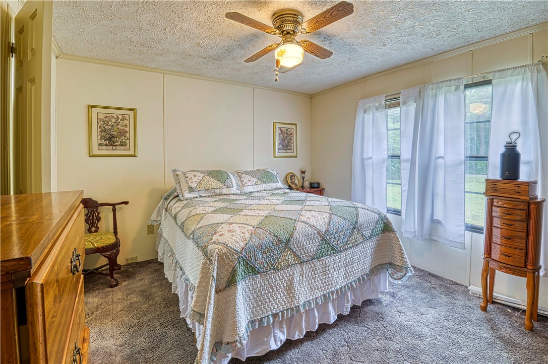 5909 Pearman Dairy Road Anderson, SC 29625 - Photo 6 of 17 Master Bedroom