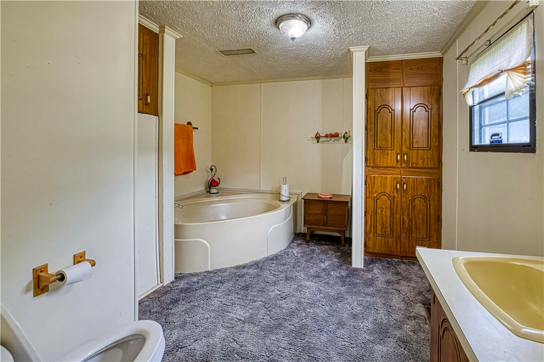 5909 Pearman Dairy Road Anderson, SC 29625 - Photo 8 of 17 Master Bath