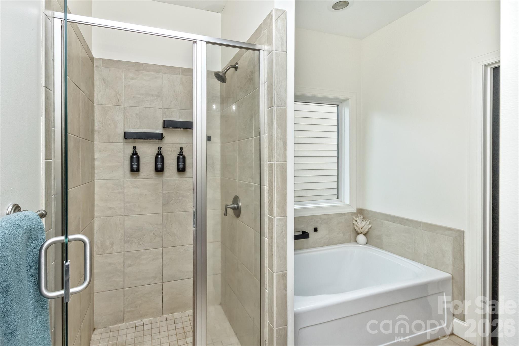 84 Rose Creek Road Leicester, NC 28748 - Photo 19 of 28 a bathroom with a shower and a bath tub
