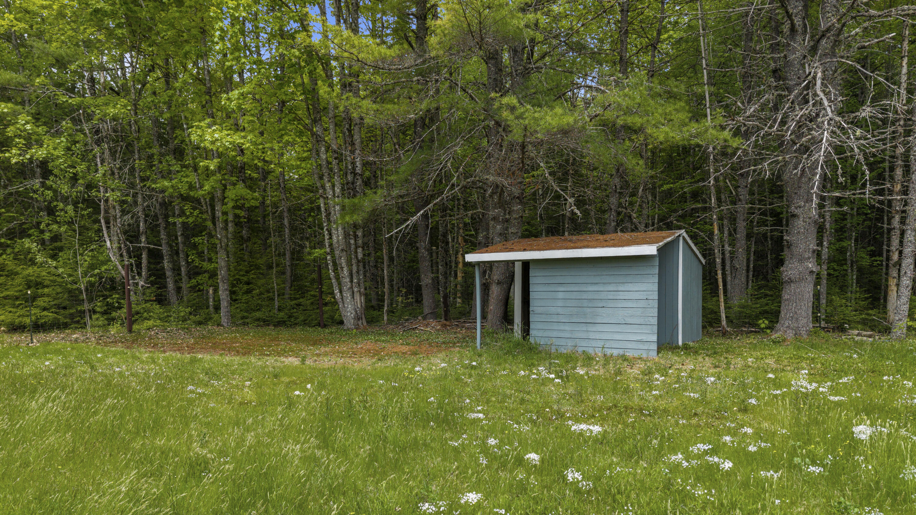 809 Edinburg Road Edinburg, ME 04448 - Photo 6 of 47 DJI_20260528115001_0111_D