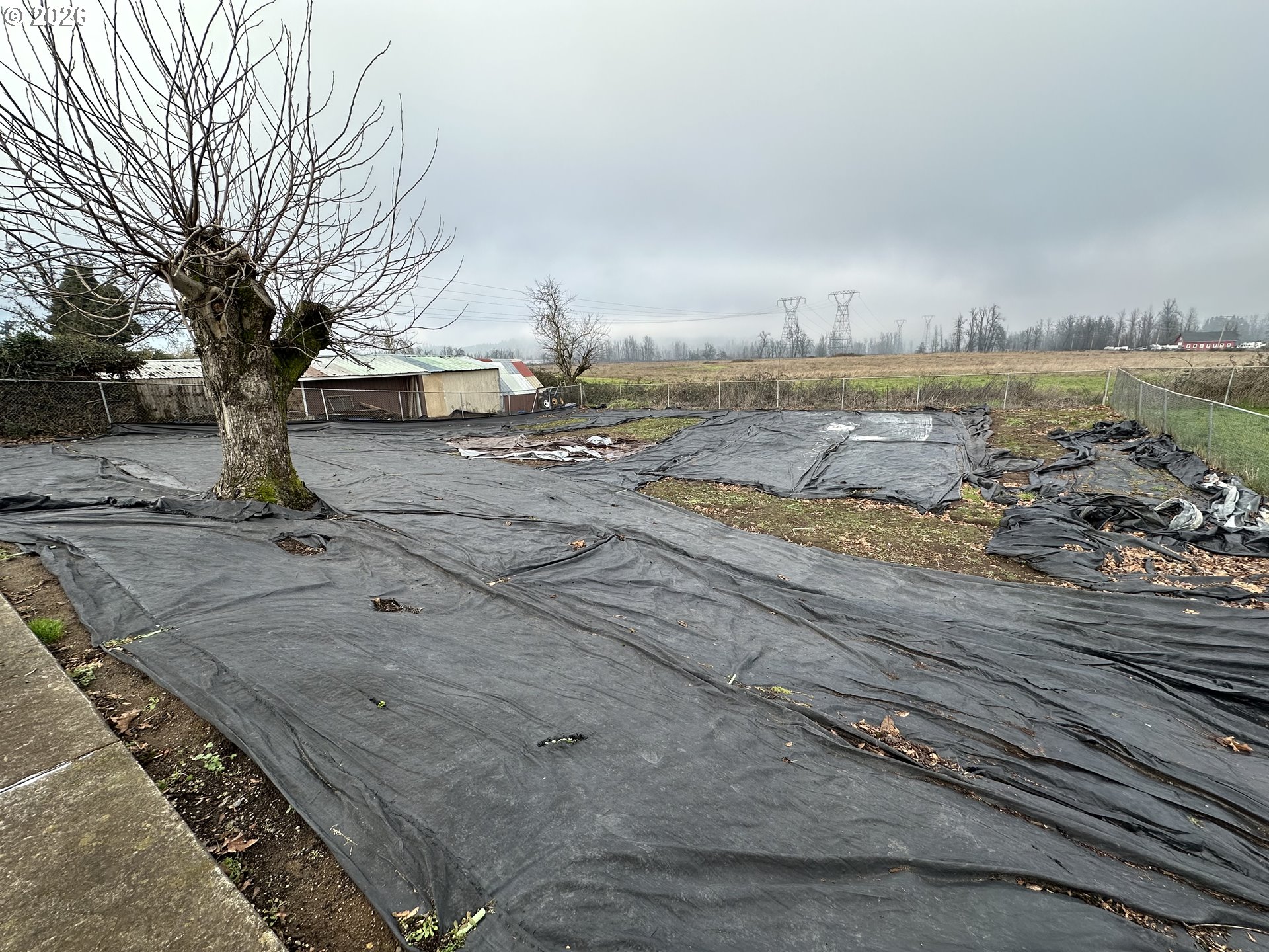 5664 Highbanks Road Springfield, OR 97478 - Photo 45 of 48 a view of a yard with snow on the road